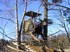 050129-Kvarnfallet 017.jpg